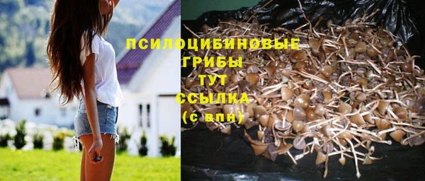 крисы Алексеевка